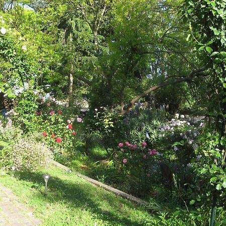 Westella Colonial B&B Accommodation Ulverstone Buitenkant foto